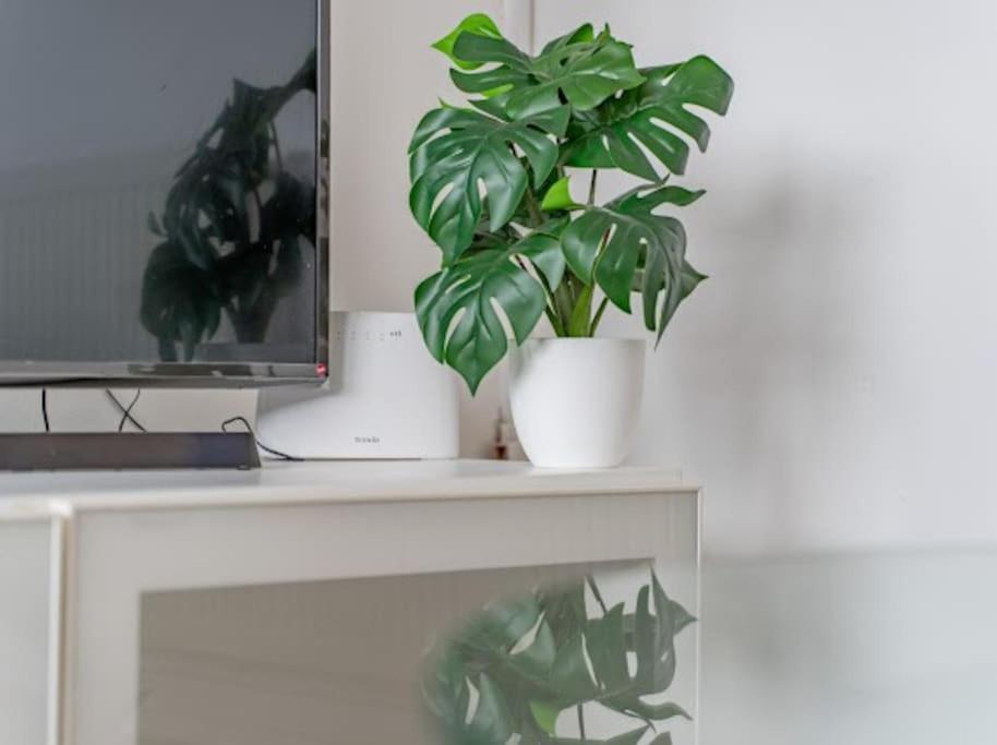 Spacious Flat In West Midlands Birmingham Ngoại thất bức ảnh